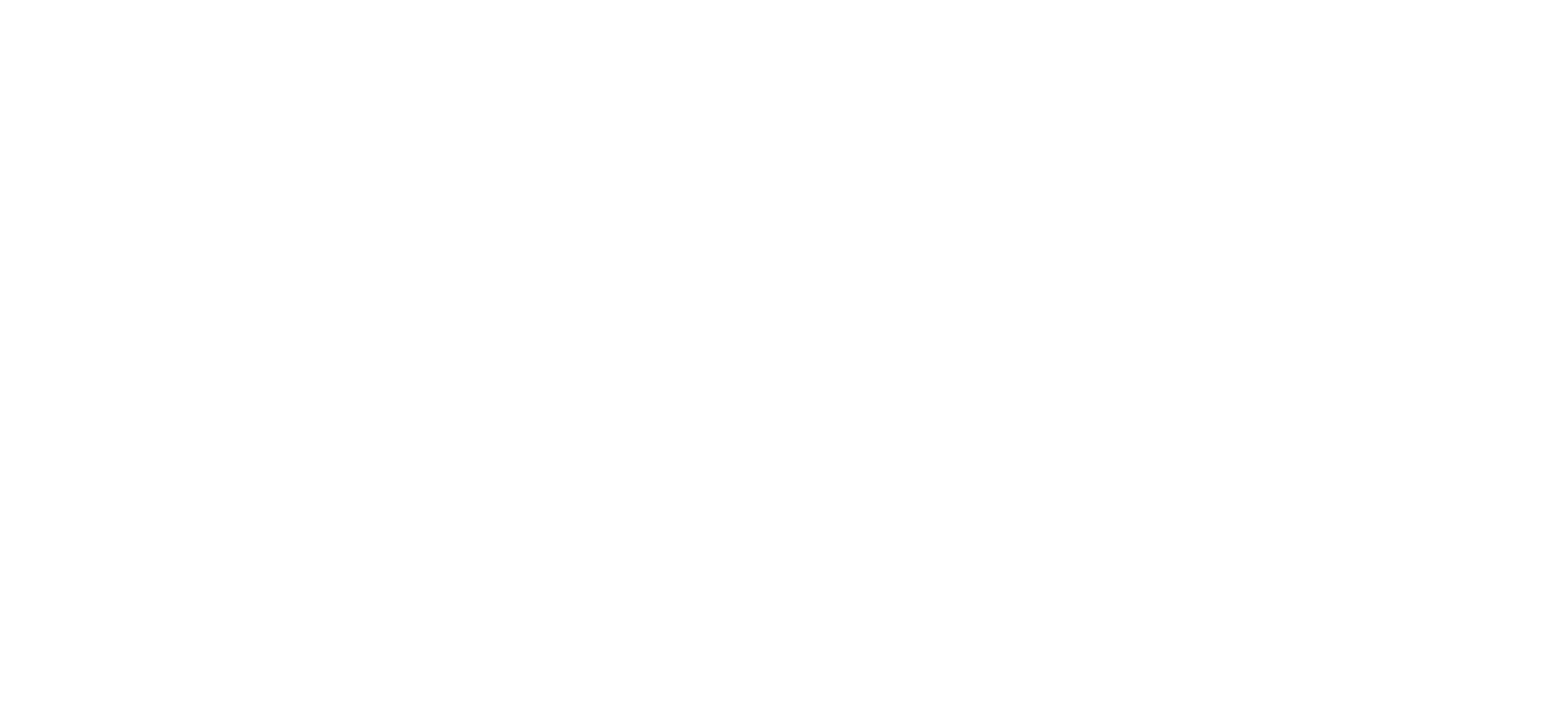 Le Birdie logo